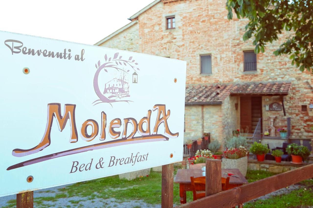 Molenda B&B Città di Castello Exterior foto